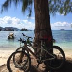 Fährräder lehnen an Palme auf La Digue seychellen-reisetipps.com