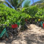 Fahrräder am Grand Anse auf La Digue, Seychellen