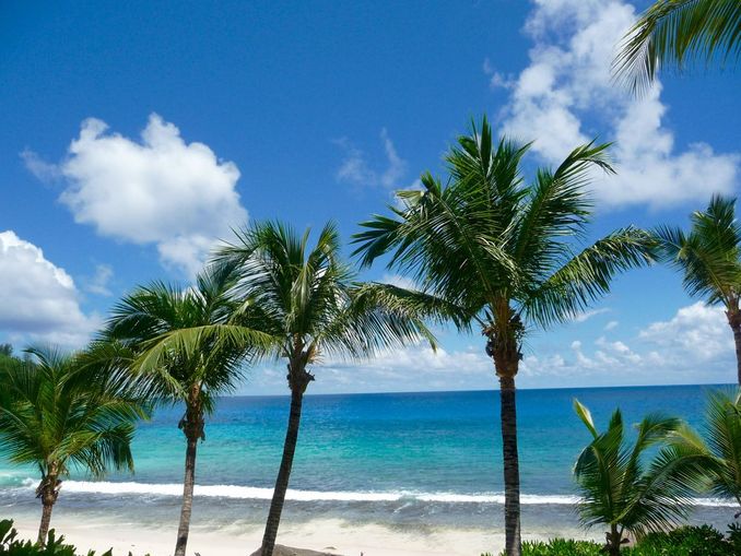 Palmen am Strand Intendance auf Mahe, Seychellen